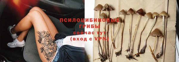кокаин Белокуриха